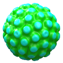HPV6