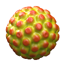 HPV16